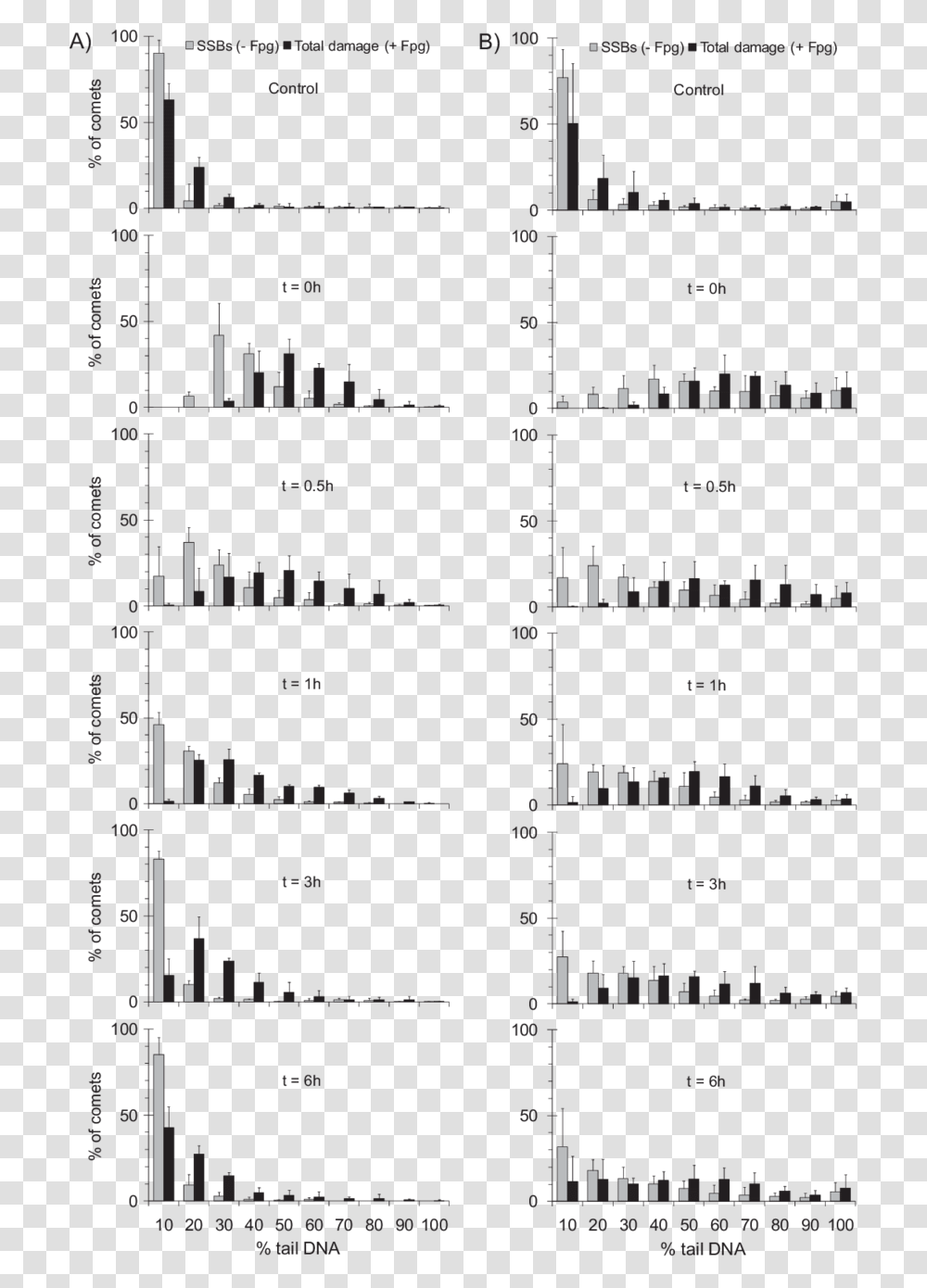 Document, Plan, Plot, Diagram Transparent Png