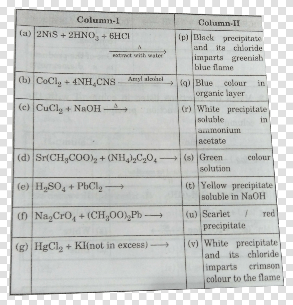 Document, Word, Label, Number Transparent Png