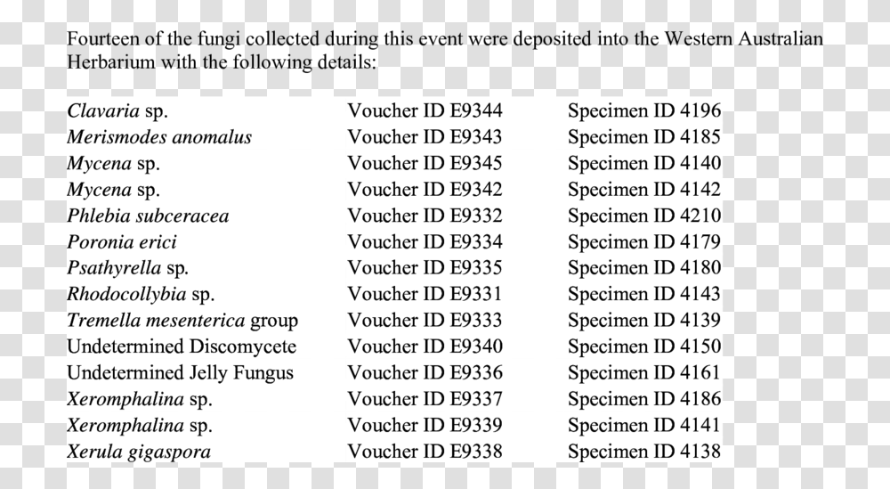 Document, Word, Number Transparent Png