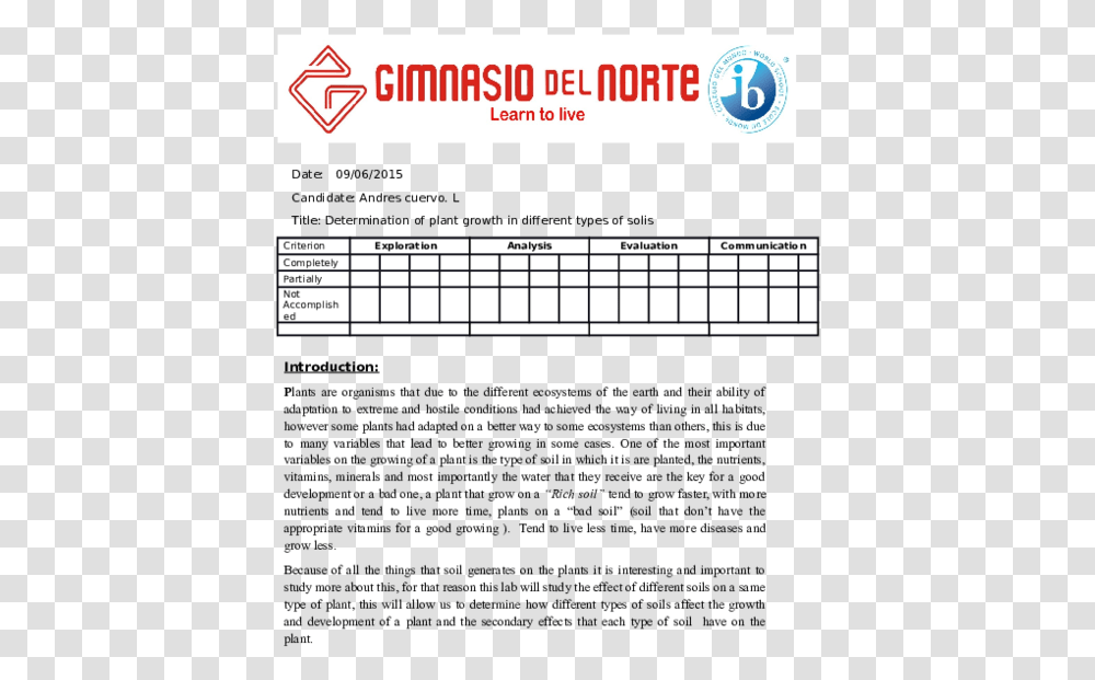Document, Word, Number Transparent Png