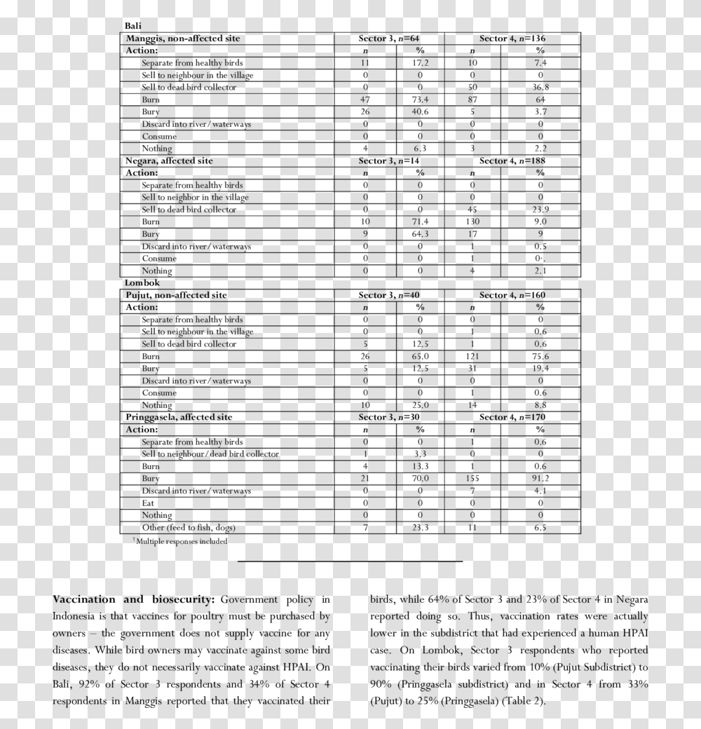 Document, Word, Number Transparent Png