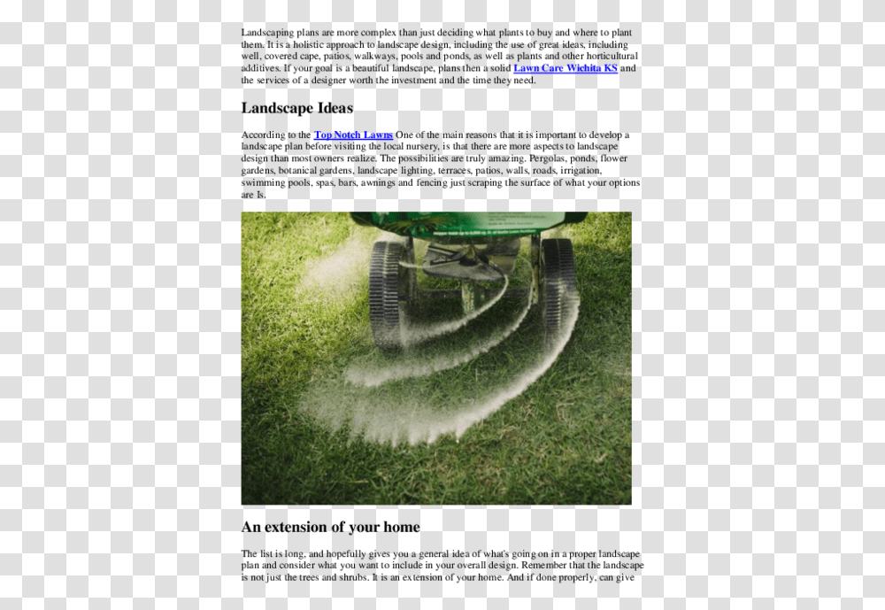 Docx Screenshot, Nature, Outdoors, Grass, Plant Transparent Png