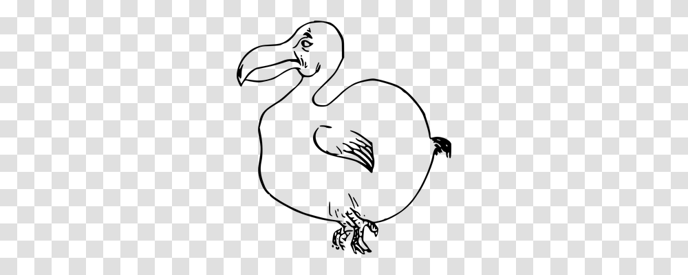 Dodo Holiday, Gray, World Of Warcraft Transparent Png