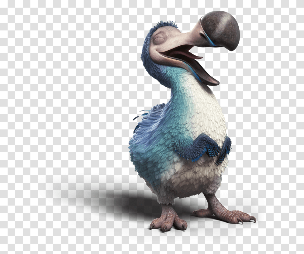 Dodo Laughing Dodo Bird 4k, Animal, Pelican, Beak, Chicken Transparent Png