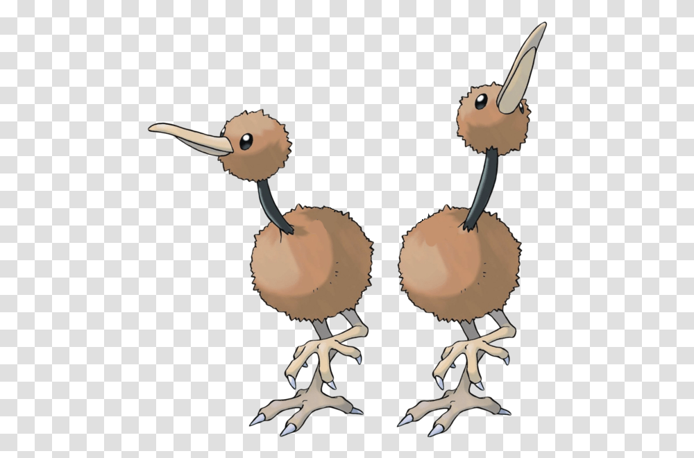 Doduo Pokemon Evolution, Bird, Animal, Dodo, Kiwi Bird Transparent Png
