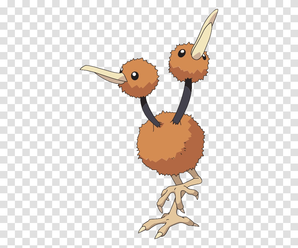 Doduo Pokemon Evolution, Kiwi Bird, Animal Transparent Png