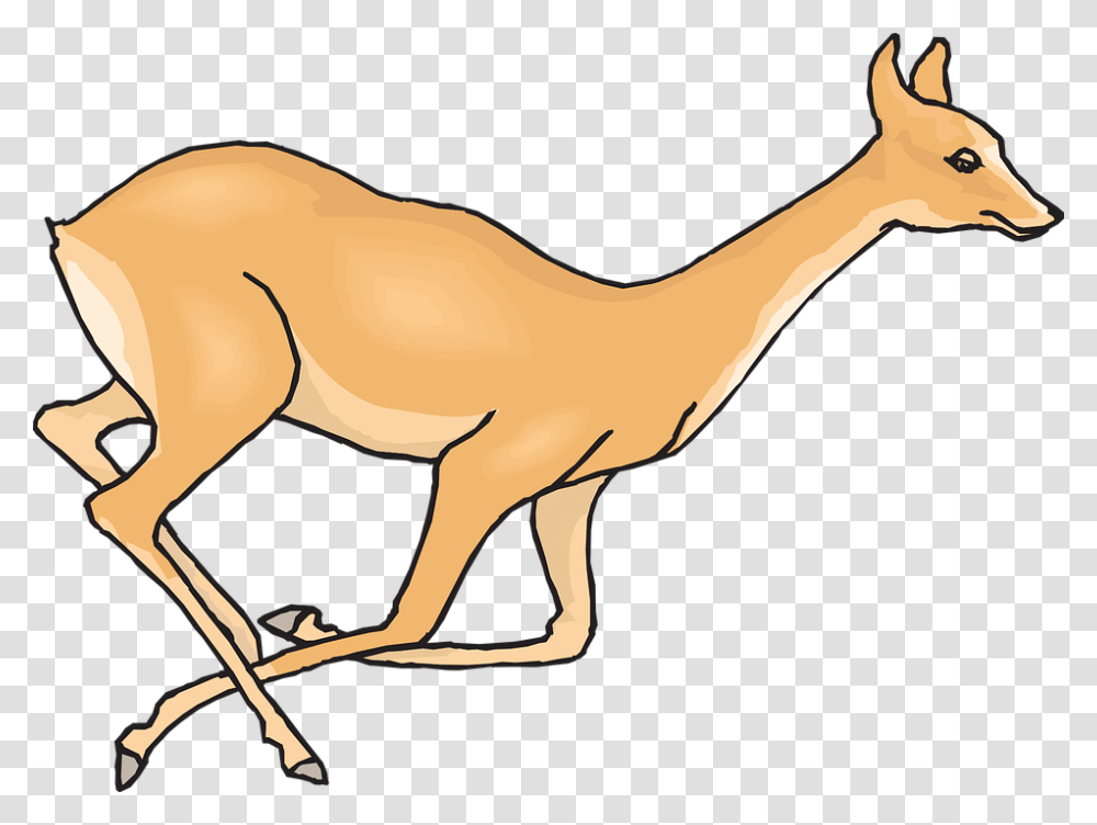 Doe Clipart Deer Running Gif, Antelope, Wildlife, Mammal, Animal Transparent Png
