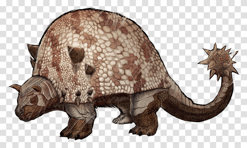 Doedicurus Ark, T-Rex, Dinosaur, Reptile, Animal Transparent Png