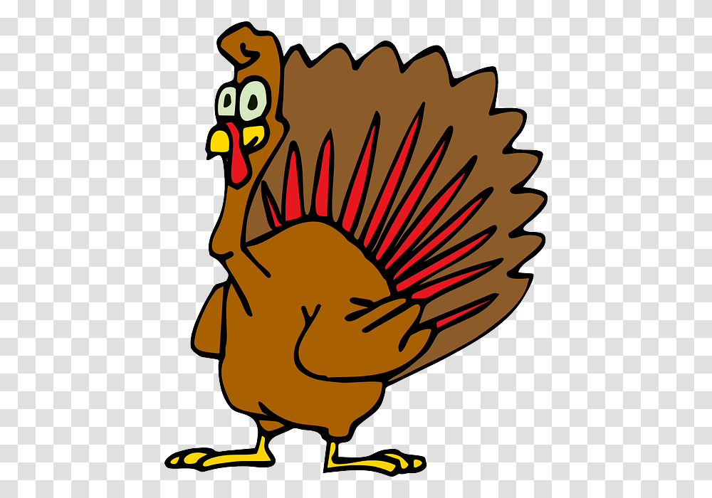 Does Eating Turkey Make You Sleepy, Animal, Bird, Fowl, Poultry Transparent Png