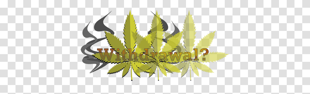 Does Marijuana Cause Withdrawals Illustration, Plant, Leaf, Weed Transparent Png