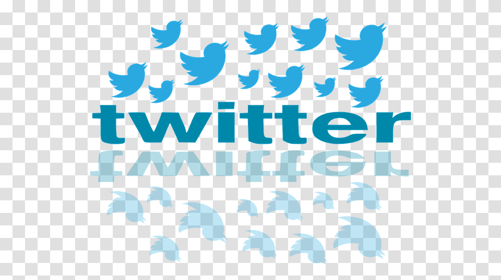 Does The Ratio Of Twitter Followers To Following Matter Twitter Birds, Poster, Text, Label, Silhouette Transparent Png
