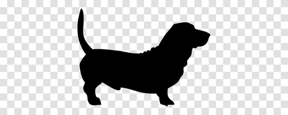 Dog Person, Gray, World Of Warcraft Transparent Png