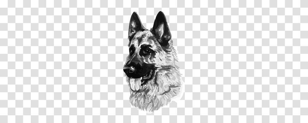 Dog Animals, Military Uniform, Modern Art Transparent Png