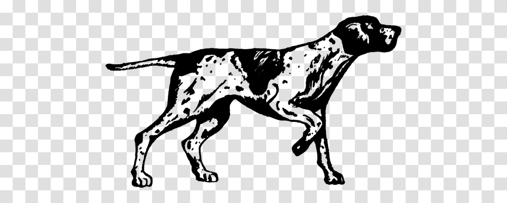 Dog Technology, Gray, World Of Warcraft Transparent Png