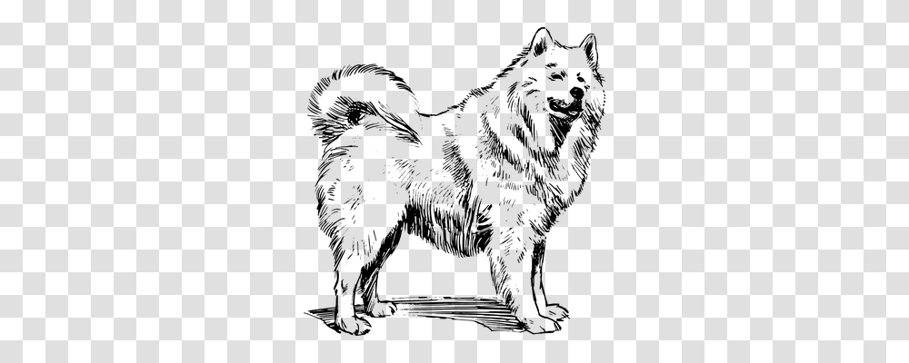 Dog Technology, Gray, World Of Warcraft Transparent Png