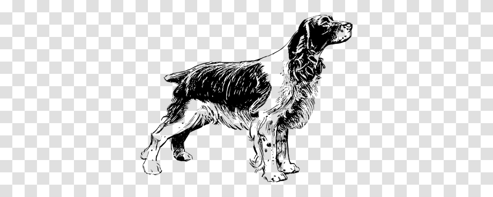 Dog Technology, Gray, World Of Warcraft Transparent Png