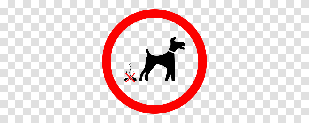 Dog Animals, Logo Transparent Png