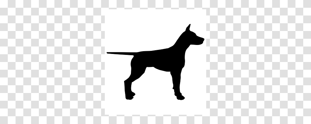 Dog Silhouette, Stencil, Animal, Pet Transparent Png