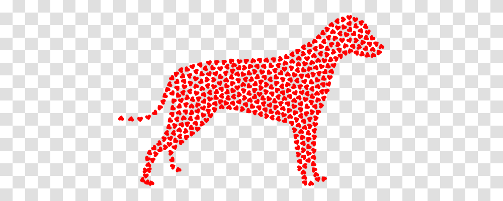 Dog Emotion, Animal, Mammal, Pattern Transparent Png