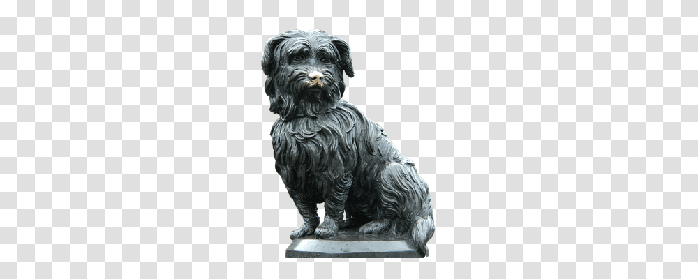 Dog Animals, Bronze, Pet, Canine Transparent Png