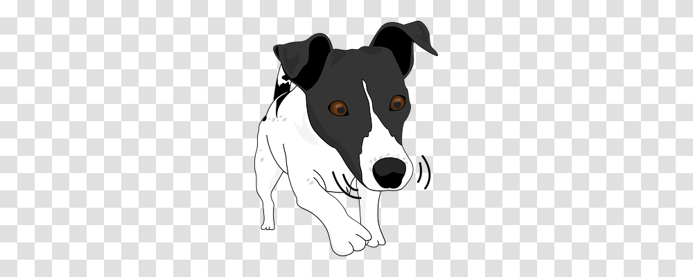 Dog Nature, Snout, Pet, Animal Transparent Png