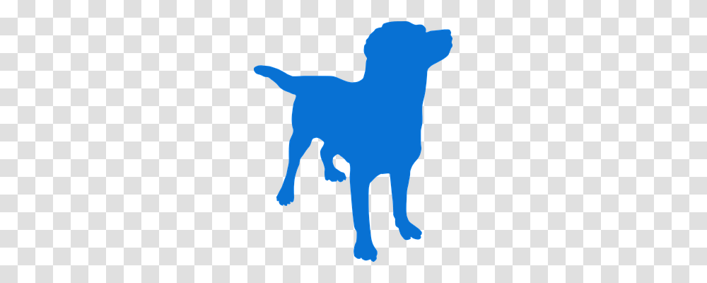 Dog Animals, Silhouette, Mammal Transparent Png