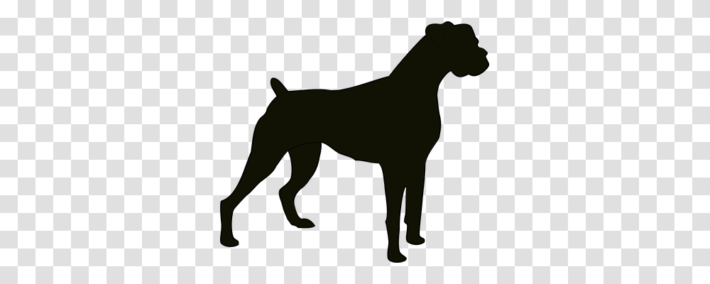 Dog Animals, Horse, Mammal, Wildlife Transparent Png