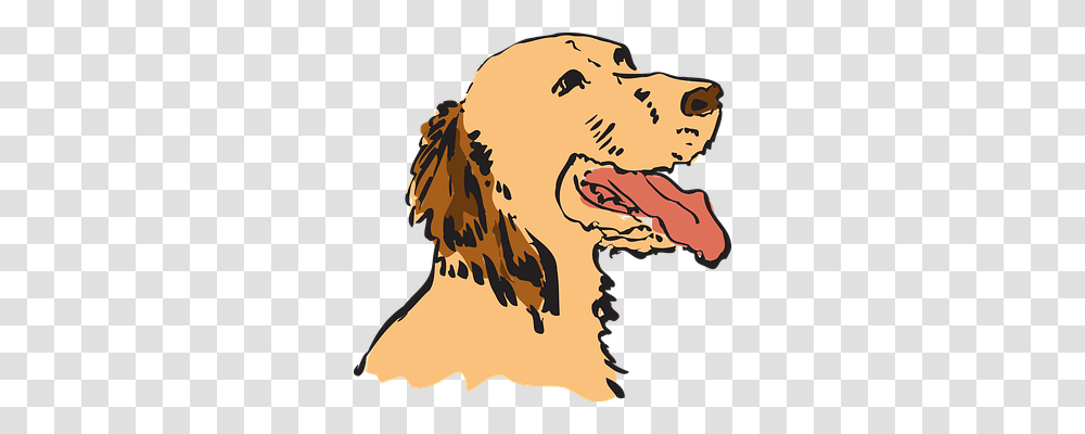 Dog Animals, Golden Retriever, Pet, Canine Transparent Png