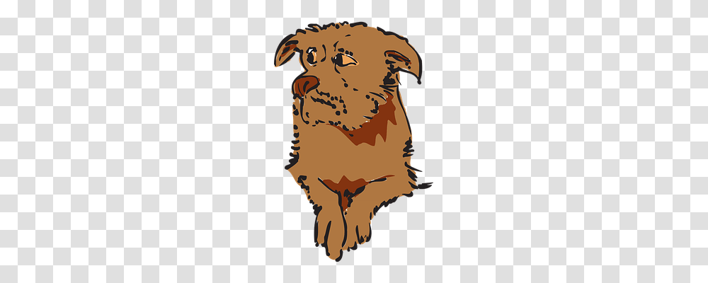 Dog Face, Poster, Skin Transparent Png