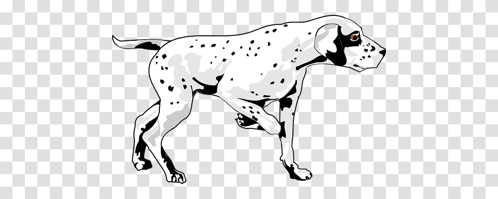 Dog Animals, Mammal, Pet, Canine Transparent Png