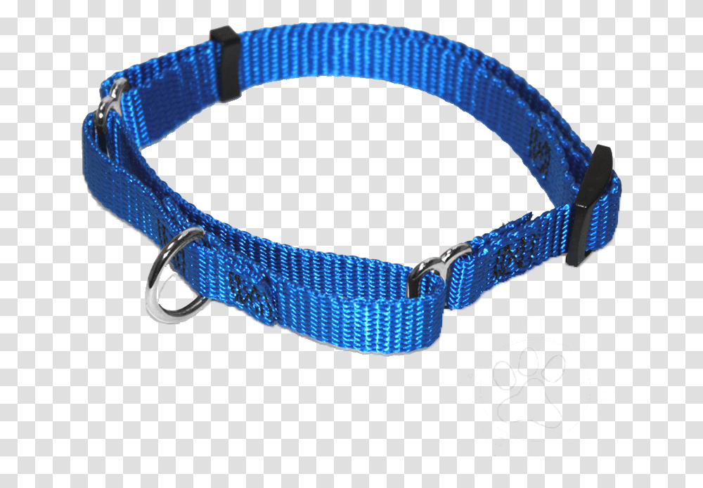 Dog, Accessories, Accessory, Collar, Bracelet Transparent Png