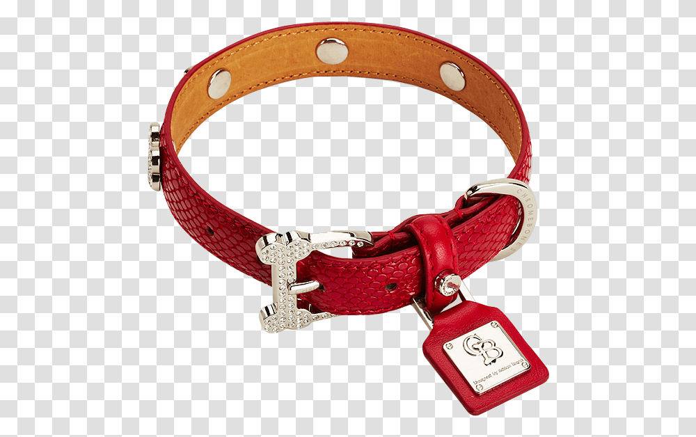 Dog Accessories, Belt, Accessory, Collar, Buckle Transparent Png
