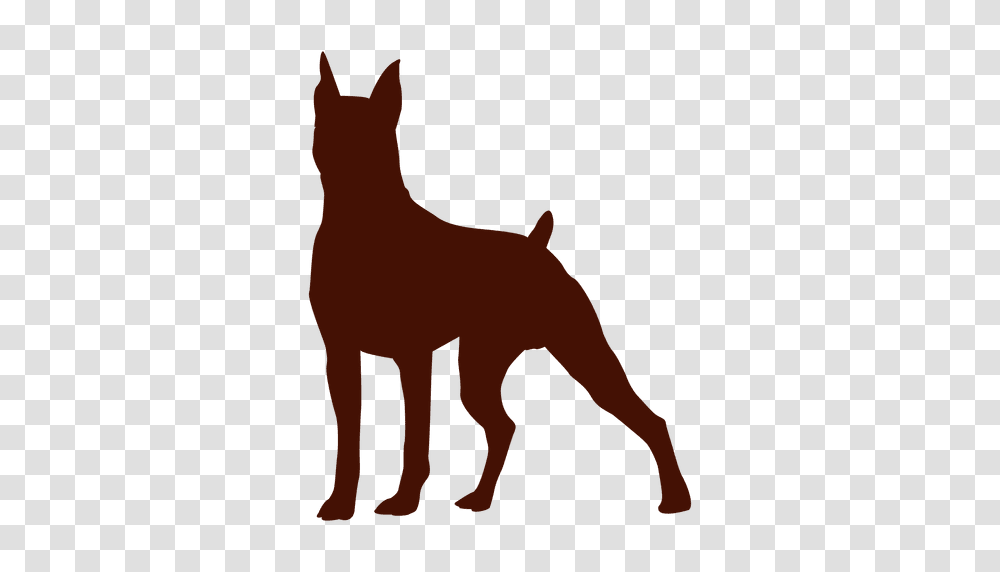 Dog Alert Silhouette, Mammal, Animal, Horse, Kangaroo Transparent Png