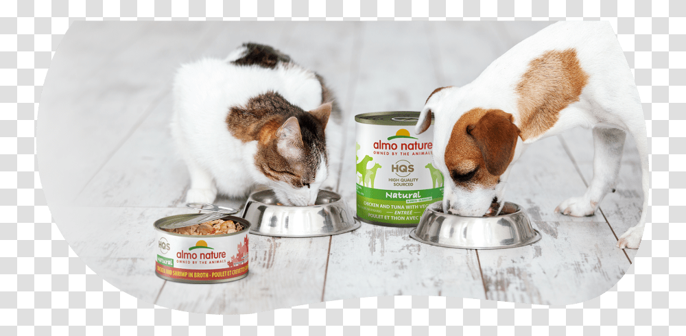 Dog And Cat Eating, Canned Goods, Aluminium, Food, Pet Transparent Png