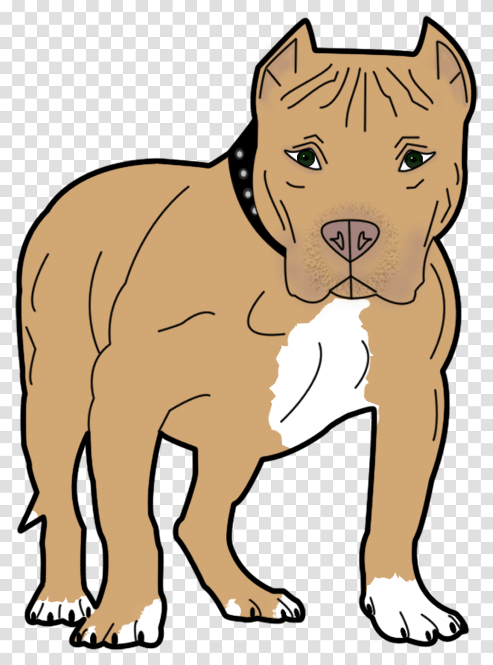 Dog Animal Pet Canine Bull Pit Pit Bull Pitbull Clip Art, Bulldog, Mammal, Person, Human Transparent Png