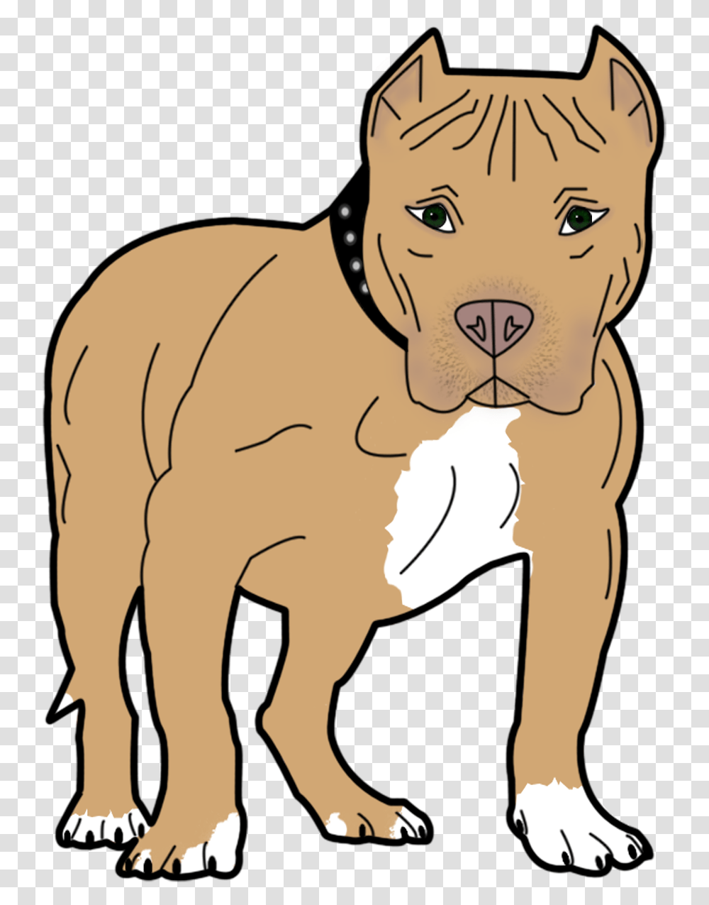 Dog Animal Pet Canine Bull Pit Pitbull Clipart Background, Bulldog, Mammal, Person, Human Transparent Png