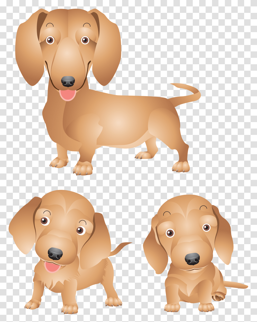 Dog, Animals, Golden Retriever, Pet, Canine Transparent Png