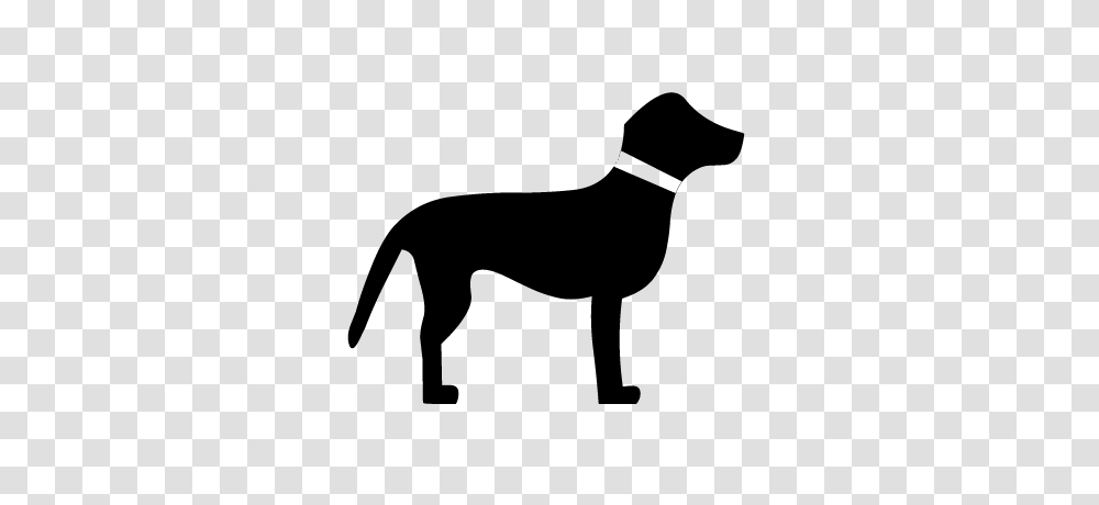 Dog Animals Pet Food Icon Free Download Vector, Business Card, Paper, Rug Transparent Png