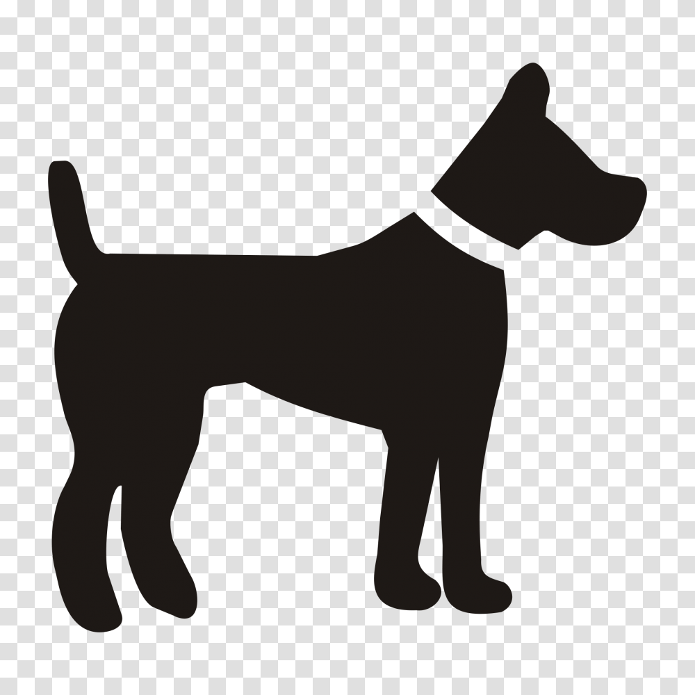 Dog, Animals, Silhouette, Pet, Terrier Transparent Png