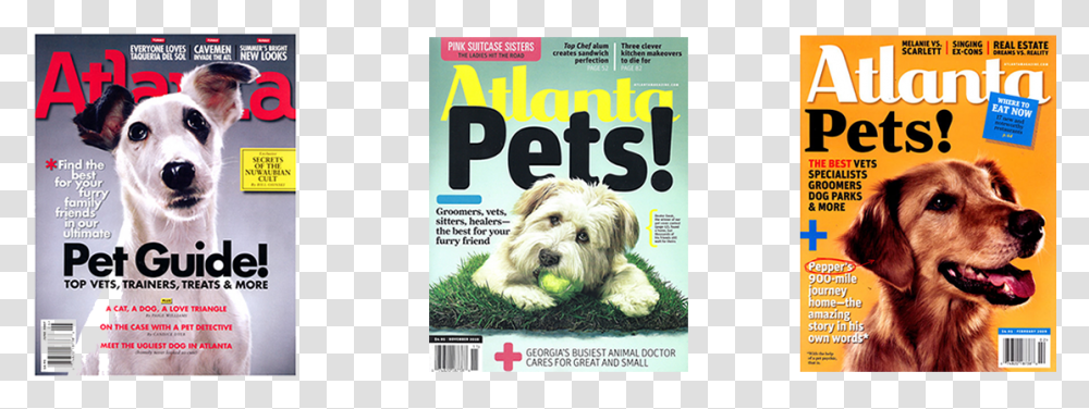 Dog Barking Companion Dog, Magazine, Pet, Canine, Animal Transparent Png