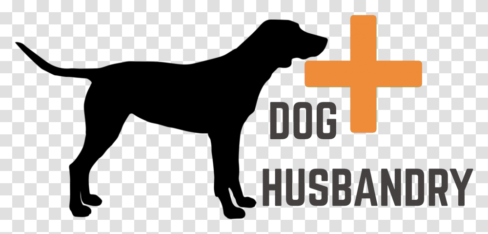 Dog Bath Barry Sanders Jersey, Logo, Trademark, Cross Transparent Png