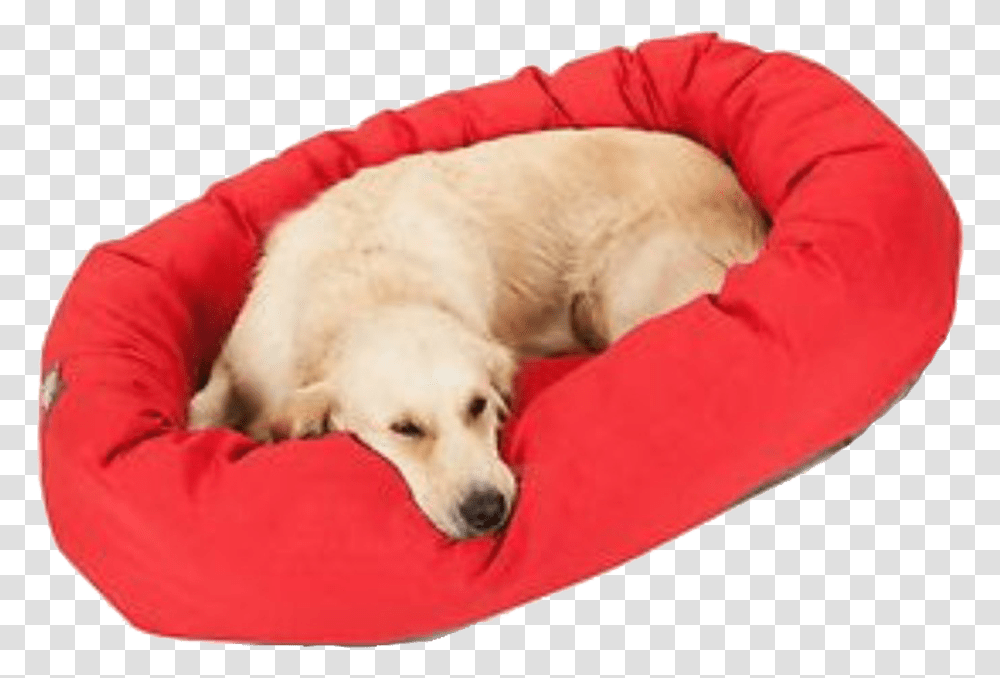 Dog Bed Clipart Companion Dog, Pet, Canine, Animal, Mammal Transparent Png