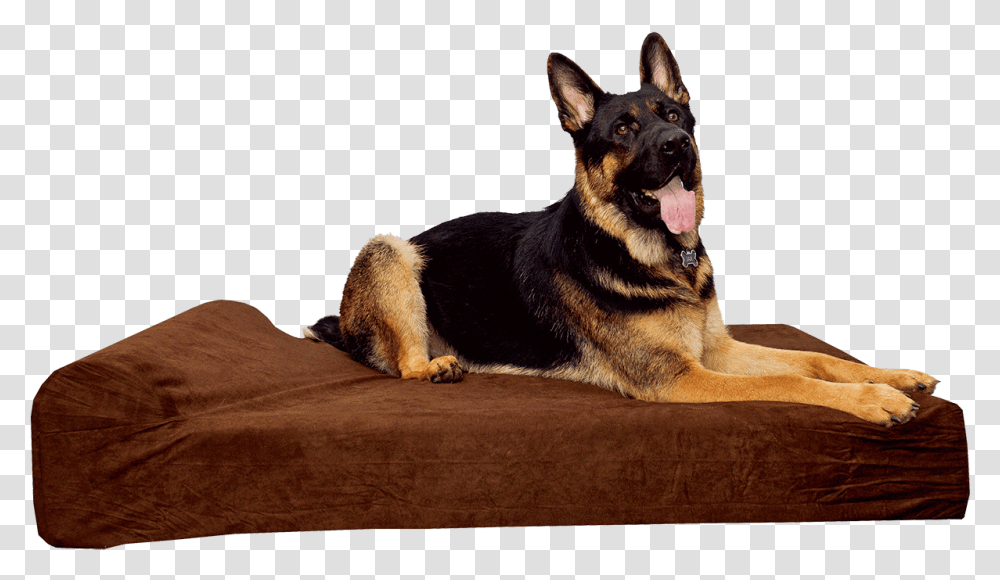 Dog Bed, German Shepherd, Pet, Canine, Animal Transparent Png