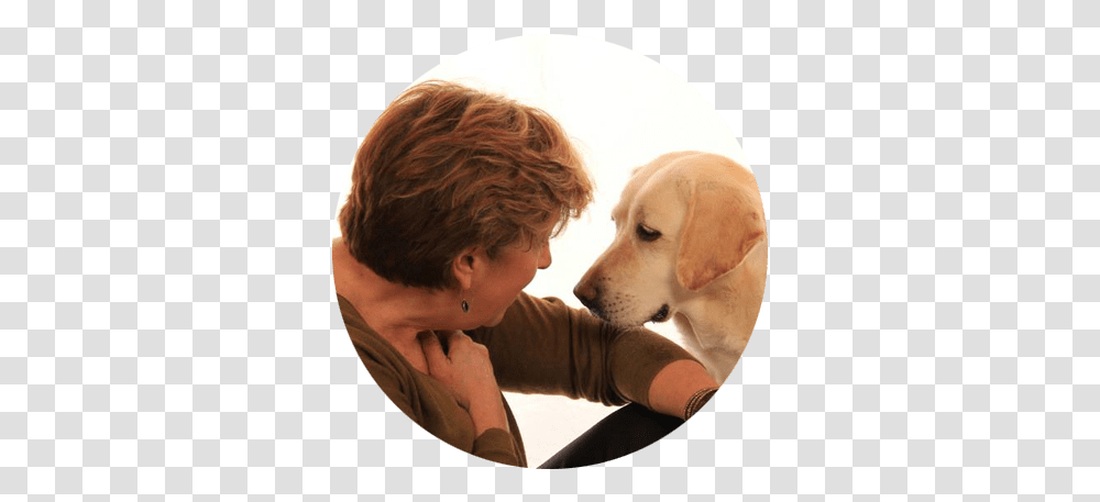 Dog Bite Prevention Webinar Series Good Dog Pro Labrador Retriever, Person, Human, Canine, Mammal Transparent Png