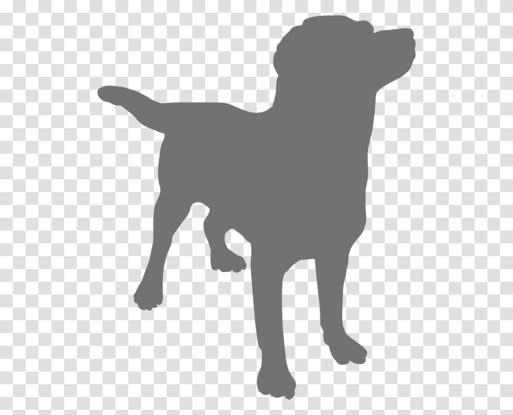 Dog Black Background, Silhouette, Stencil, Animal, Pet Transparent Png