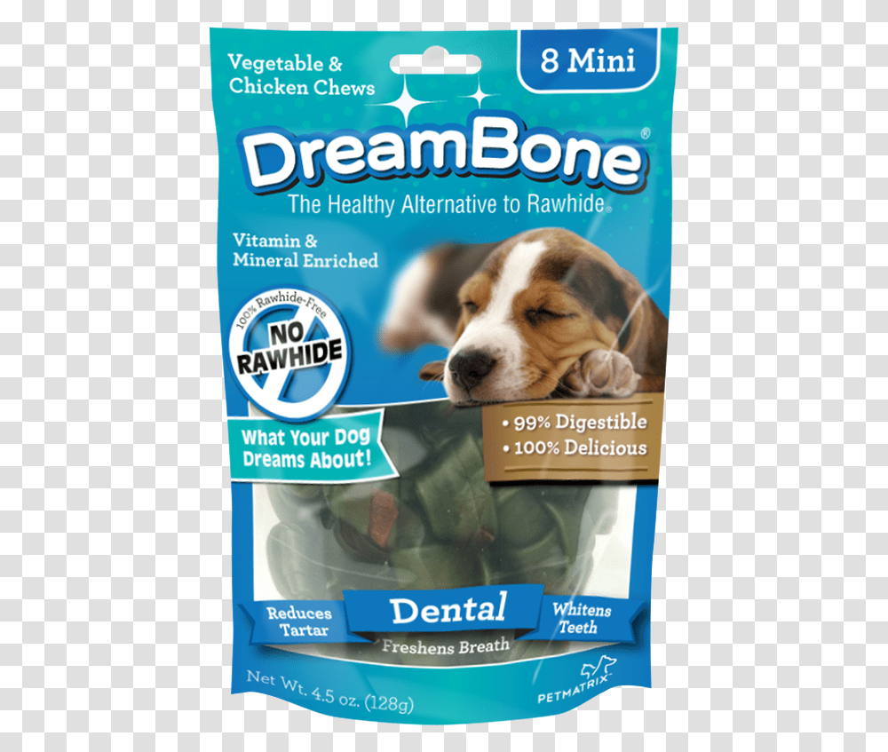 Dog Bone Companion Dog, Pet, Canine, Animal, Mammal Transparent Png
