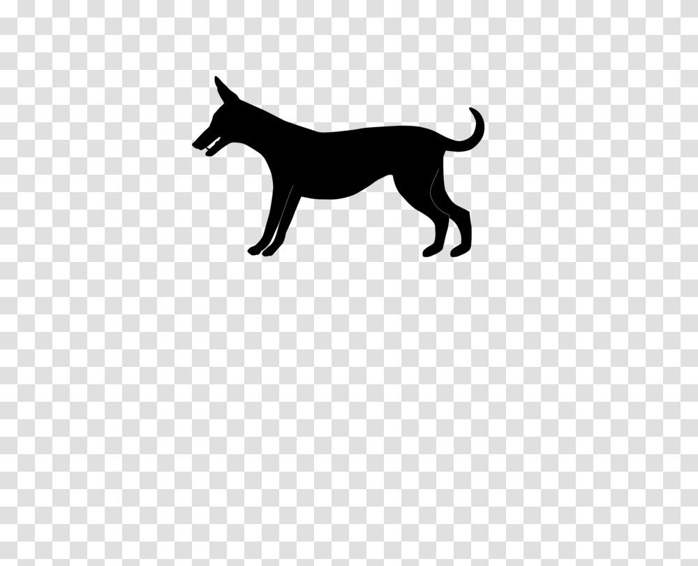 Dog Breed Cat Puppy Town Musicians Of Bremen, Outdoors, Nature, Astronomy Transparent Png