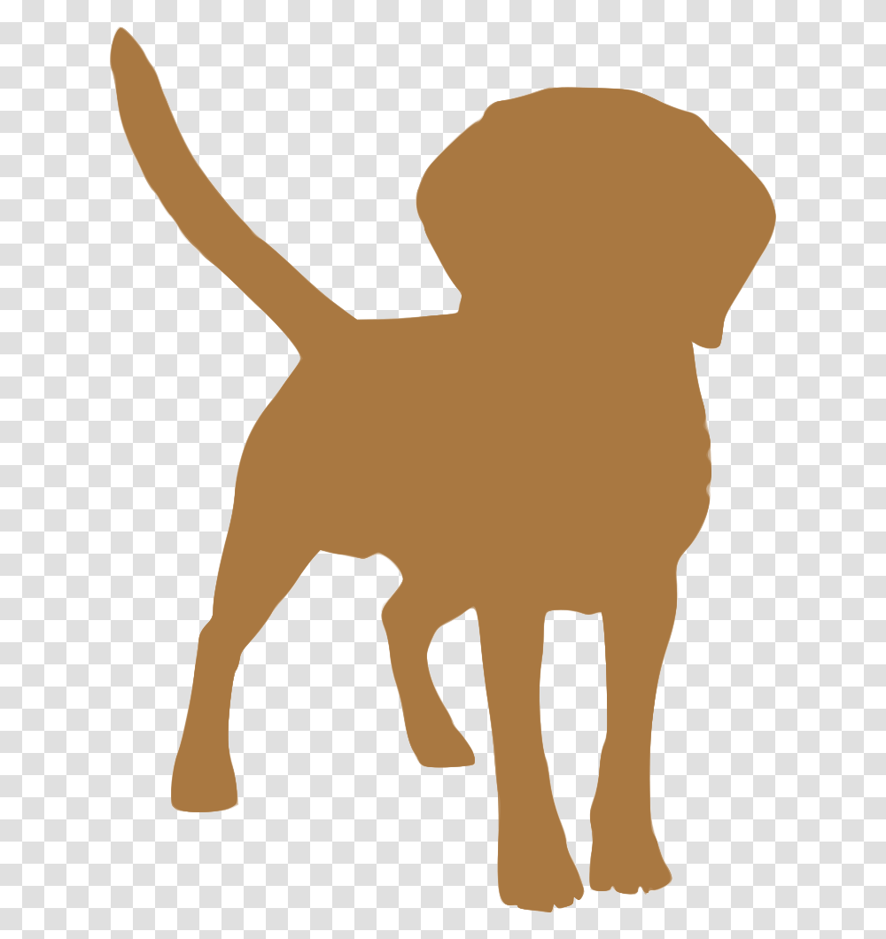 Dog Breed Puppy Tibetan Spaniel Tibetan Mastiff English Dog Shakes Water Off, Axe, Tool, Person, Silhouette Transparent Png