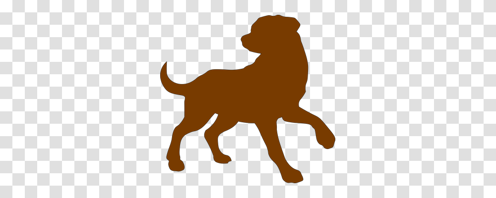 Dog Brown Outline Domestic Animal, Mammal, Wildlife, Guitar, Lion Transparent Png