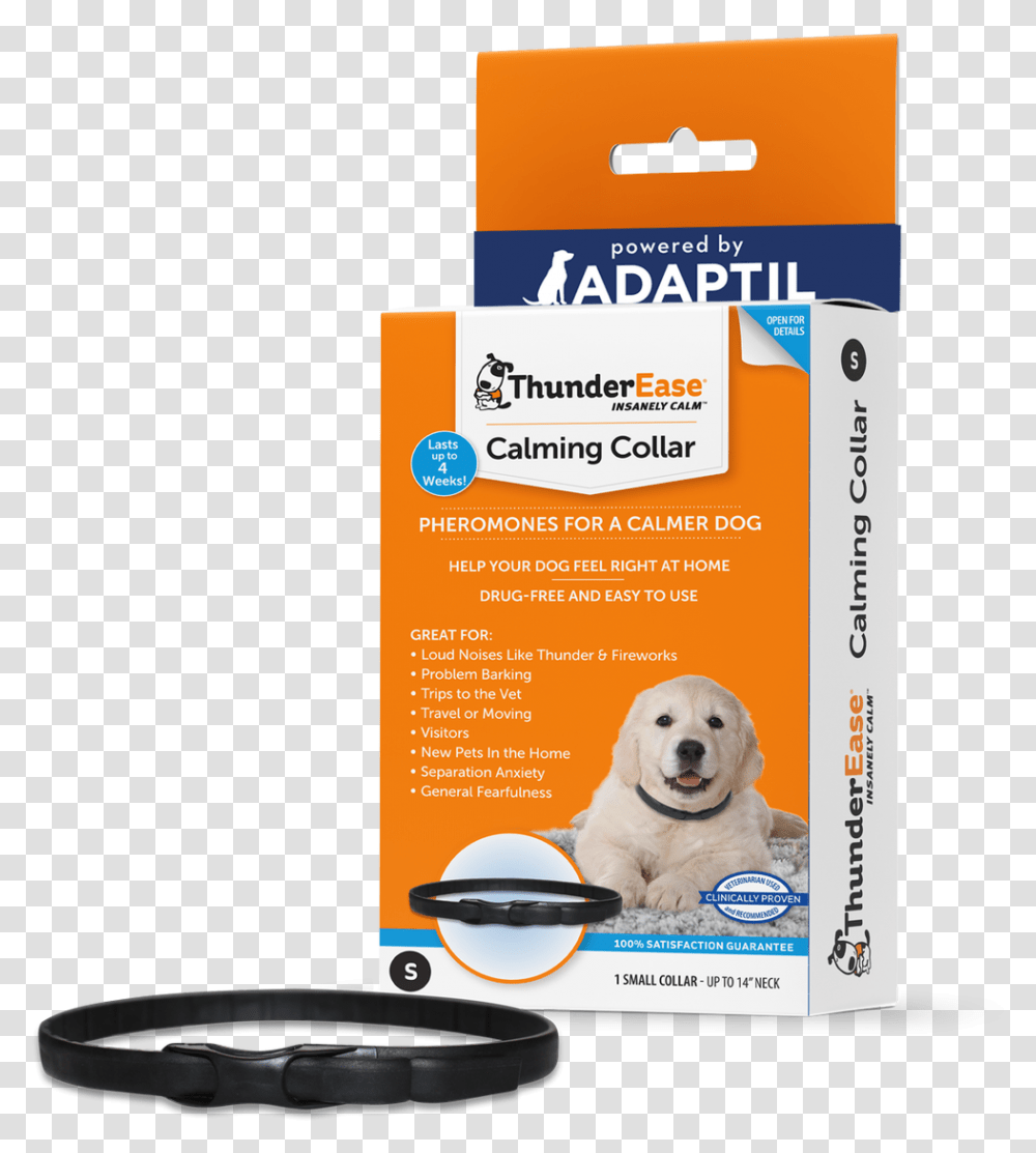 Dog Calming Collar, Pet, Canine, Animal, Mammal Transparent Png